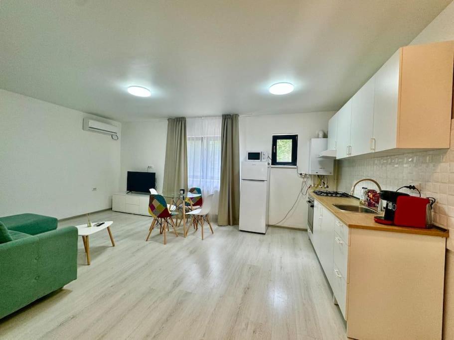 Otopeni Studio C1 1 Airport Therme Εξωτερικό φωτογραφία